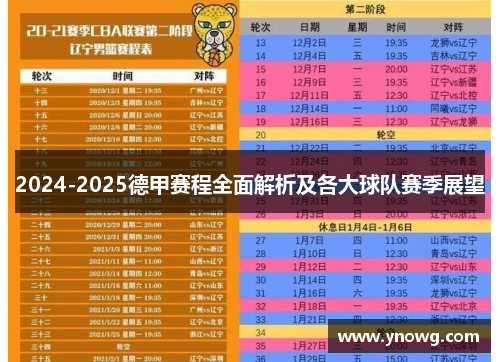 2024-2025德甲赛程全面解析及各大球队赛季展望